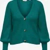 ONLY CARMAKOMA Vesten Gebreid Vest Dames Groen / Petrol / Jade Groen