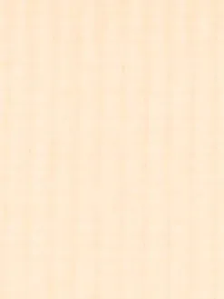 ONLY CARMAKOMA Shorts Skinny Broek Ottilia Dames Beige -ONLY Elegant winkel 327cea080f5219241f39ca518b48f554