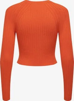 ONLY Fijngebreide Truien Trui Meddi Dames Donkeroranje -ONLY Elegant winkel 3f1fbb52c60fa10940027869ac01b9c3
