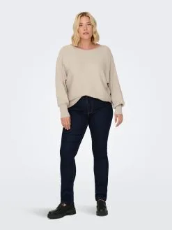ONLY CARMAKOMA Basic Truien Trui Dames Beige -ONLY Elegant winkel 589d844a1879c05ff855ff3afdb48f45