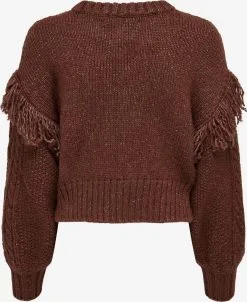 ONLY Fijngebreide Truien Trui WANDA Dames Kastanjebruin -ONLY Elegant winkel 6163e09738bff14a824247807305536b