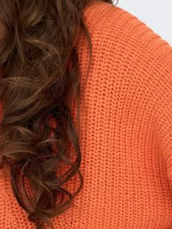 ONLY Fijngebreide Truien Trui Bella Dames Oranje 13 ONLY Fijngebreide Truien Trui Bella Dames Oranje -ONLY Elegant winkel 69e3ca3bd59dd47e2e04e92e76c80e77