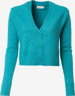 ONLY Vesten Gebreid Vest MACADAMIA Dames Blauw