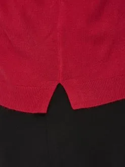 ONLY CARMAKOMA Basic Truien Trui Dames Rood -ONLY Elegant winkel 849ab871a1f1d8369fc63d4181ff4f01