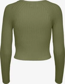 ONLY Fijngebreide Truien Trui Meddi Dames Kaki -ONLY Elegant winkel 957954a446c3bb4214829c921490a0e4