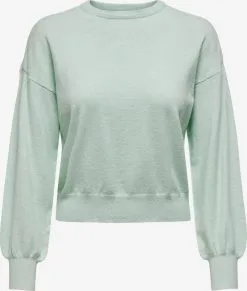 ONLY Fijngebreide Truien Trui Lely Dames Mintgroen