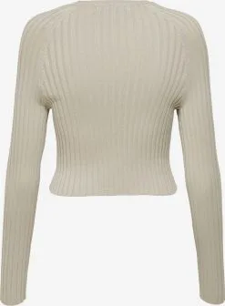 ONLY Fijngebreide Truien Trui RACHEL Dames Grijs -ONLY Elegant winkel fa42adeed700c91656215f47cfaee417